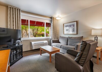 Standard Suite Living Room